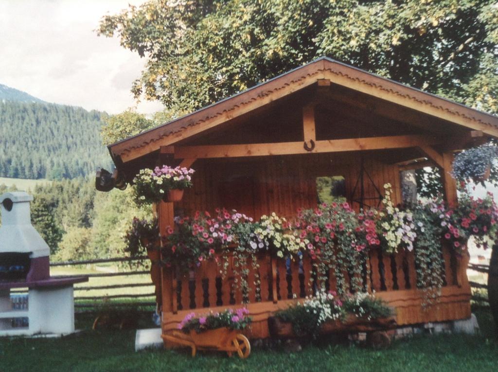 Haus Elsa Appartamento Ramsau am Dachstein Esterno foto