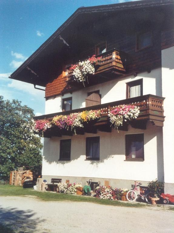 Haus Elsa Appartamento Ramsau am Dachstein Esterno foto