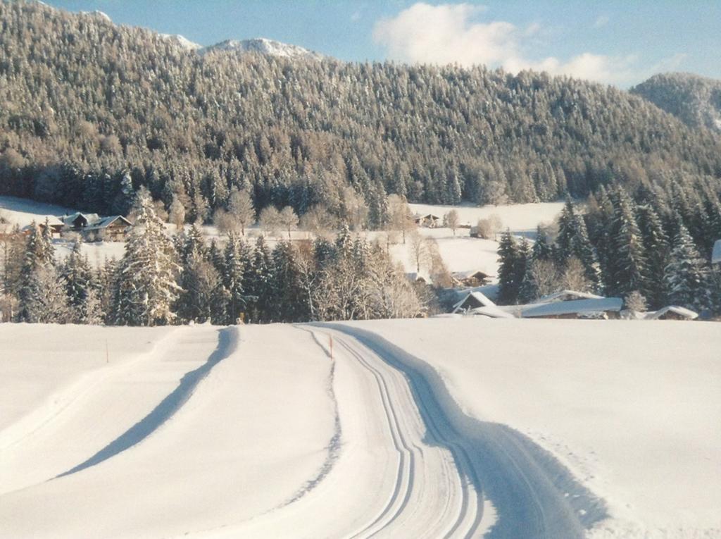 Haus Elsa Appartamento Ramsau am Dachstein Esterno foto